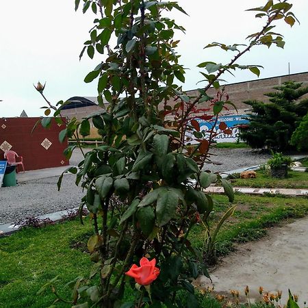 Motel Sahara Suites Barranca Bagian luar foto