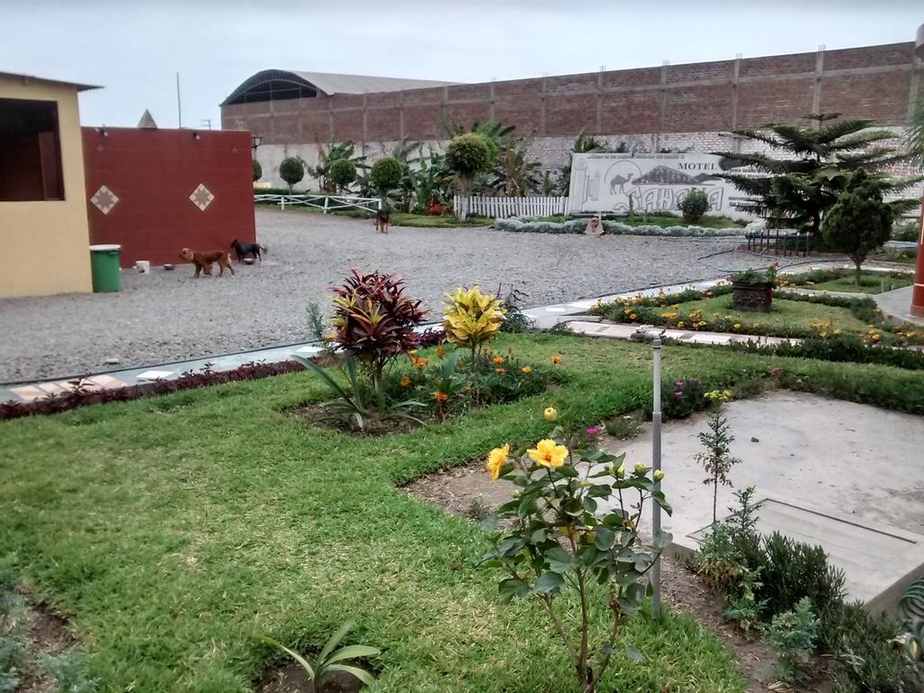 Motel Sahara Suites Barranca Bagian luar foto
